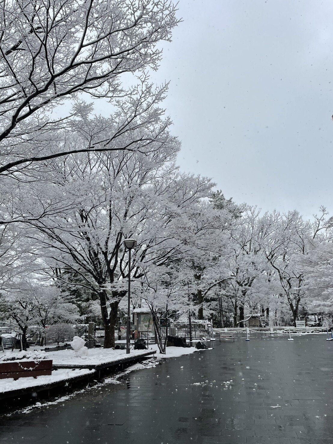 三島駅前楽寿園の様子