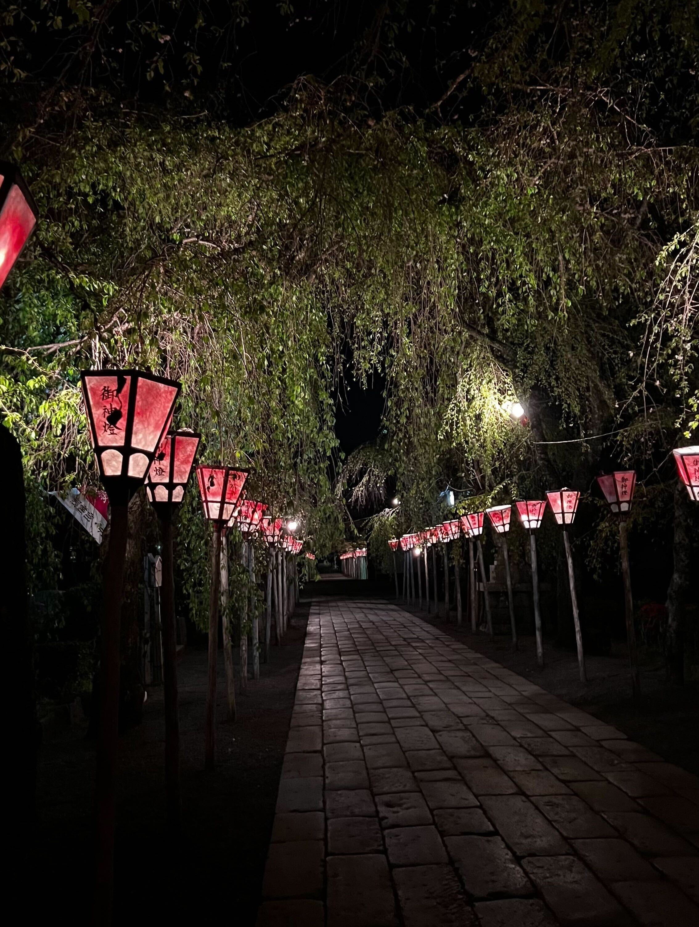 Image from iOS (1).jpg