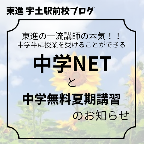 テキスト.png